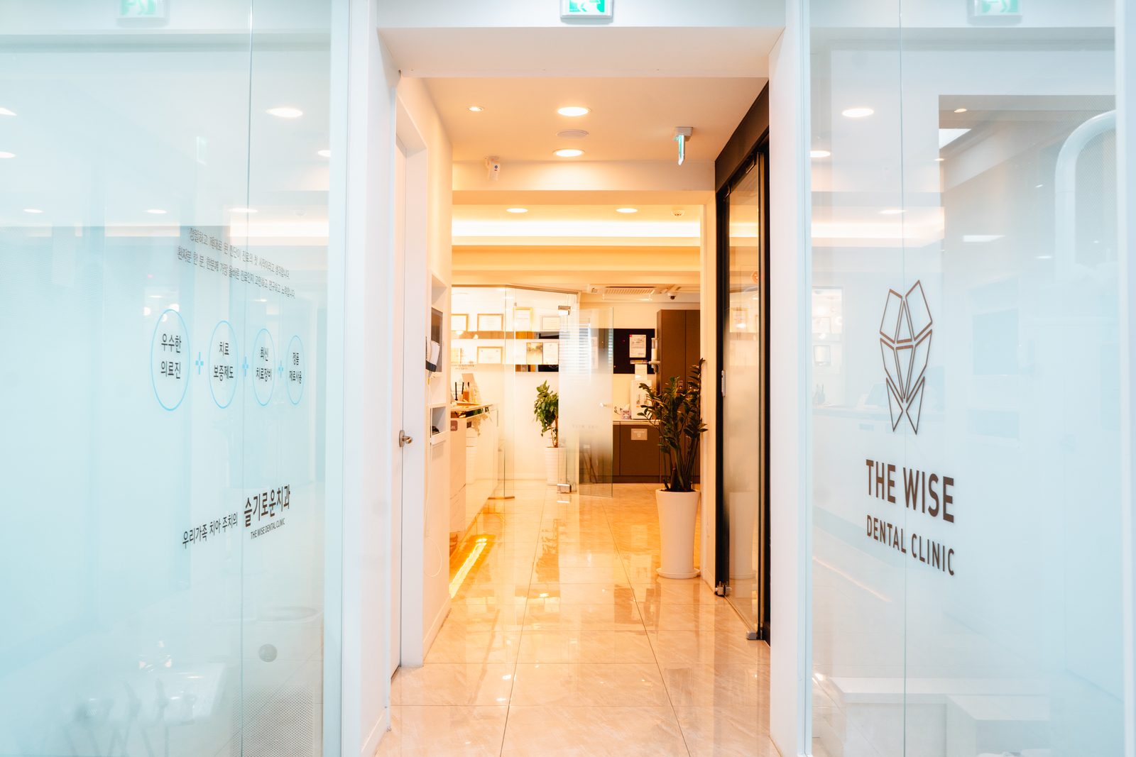 슬기로운치과 입구 — 유리문에 'THE WISE DENTAL CLINIC' 로고와 상호가 붙어 있다